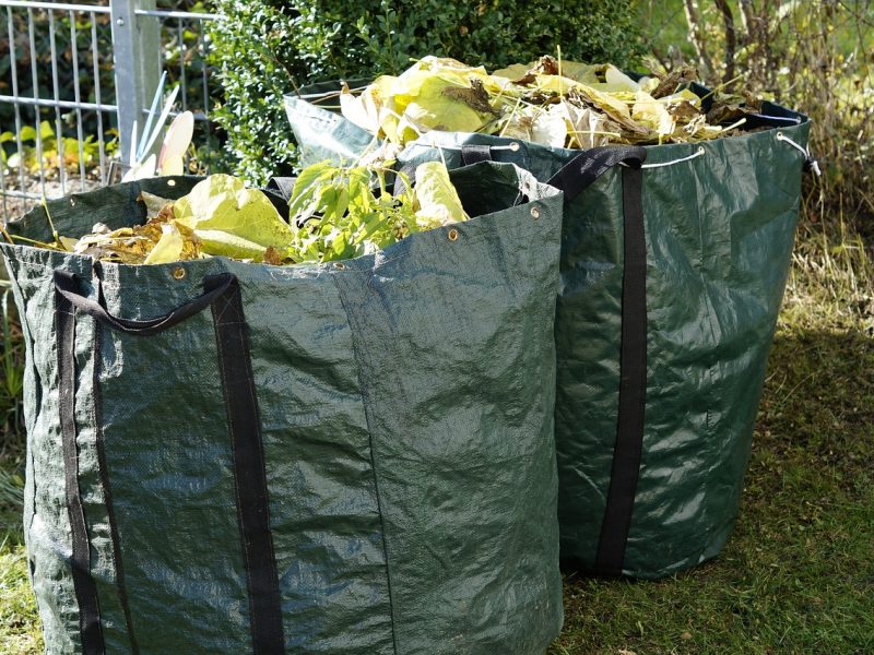 Professional Yard Waste Removal Services